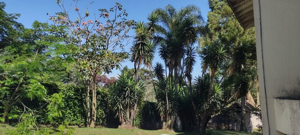 CLÍNICA DE REABILITAÇÃO PARA DEPENDENTES QUÍMICOS, CLÍNICA DE REABILITAÇÃO PARA DEPENDENTES QUÍMICOS FEMININO, CLÍNICA DE REABILITAÇÃO PARA USUÁRIO DE DROGAS MASCULINO, CLÍNICA PARTICULAR DE REABILITAÇÃO PARA DEPENDENTES QUÍMICOS, CLÍNICA DE REABILITAÇÃO PARA DEPENDENTES QUÍMICOS PERTO DE MIM, CLÍNICA DE REABILITAÇÃO PARA DEPENDENTES QUÍMICOS PARA HOMENS, CLÍNICA DE REABILITAÇÃO PARA DEPENDENTES QUÍMICOS PARTICULAR, CLÍNICA DE REABILITAÇÃO PARA DEPENDENTES QUÍMICOS PRÓXIMO DE MIM, CLÍNICA DE REABILITAÇÃO DE DEPENDENTES QUÍMICOS LIBERDADE E VIDA, CLÍNICA ESPECIALIZADA EM REABILITAÇÃO PARA DEPENDENTES QUÍMICOS, CLÍNICA DE REABILITAÇÃO PARA DEPENDENTES QUÍMICOS MAIRIPORÃ, CLÍNICA DE REABILITAÇÃO PARA DEPENDENTES SÃO PAULO, CLÍNICAS DE REABILITAÇÃO PARA DEPENDENTES QUÍMICOS, SOBRE CLÍNICAS DE REABILITAÇÃO PARA DEPENDENTES QUÍMICOS, CONTATO CLÍNICAS DE REABILITAÇÃO PARA DEPENDENTES QUÍMICOS, MAPA CLÍNICAS DE REABILITAÇÃO PARA DEPENDENTES QUÍMICOS