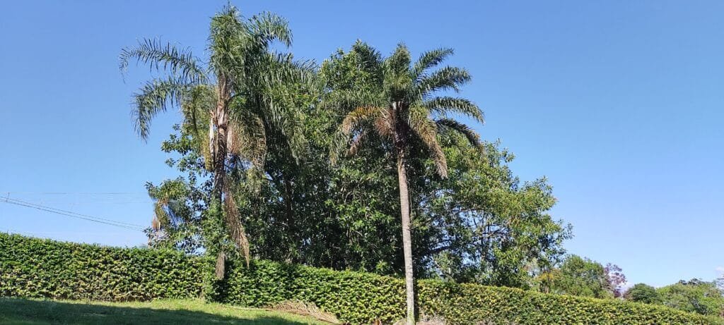 CLÍNICA DE REABILITAÇÃO PARA DEPENDENTES QUÍMICOS, CLÍNICA DE REABILITAÇÃO PARA DEPENDENTES QUÍMICOS FEMININO, CLÍNICA DE REABILITAÇÃO PARA USUÁRIO DE DROGAS MASCULINO, CLÍNICA PARTICULAR DE REABILITAÇÃO PARA DEPENDENTES QUÍMICOS, CLÍNICA DE REABILITAÇÃO PARA DEPENDENTES QUÍMICOS PERTO DE MIM, CLÍNICA DE REABILITAÇÃO PARA DEPENDENTES QUÍMICOS PARA HOMENS, CLÍNICA DE REABILITAÇÃO PARA DEPENDENTES QUÍMICOS PARTICULAR, CLÍNICA DE REABILITAÇÃO PARA DEPENDENTES QUÍMICOS PRÓXIMO DE MIM, CLÍNICA DE REABILITAÇÃO DE DEPENDENTES QUÍMICOS LIBERDADE E VIDA, CLÍNICA ESPECIALIZADA EM REABILITAÇÃO PARA DEPENDENTES QUÍMICOS, CLÍNICA DE REABILITAÇÃO PARA DEPENDENTES QUÍMICOS MAIRIPORÃ, CLÍNICA DE REABILITAÇÃO PARA DEPENDENTES SÃO PAULO, CLÍNICAS DE REABILITAÇÃO PARA DEPENDENTES QUÍMICOS, SOBRE CLÍNICAS DE REABILITAÇÃO PARA DEPENDENTES QUÍMICOS, CONTATO CLÍNICAS DE REABILITAÇÃO PARA DEPENDENTES QUÍMICOS, MAPA CLÍNICAS DE REABILITAÇÃO PARA DEPENDENTES QUÍMICOS