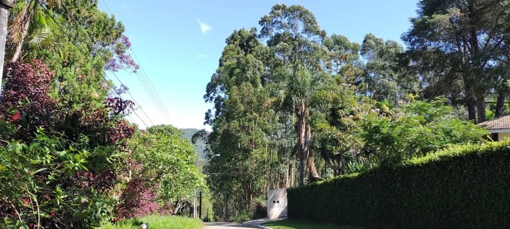 CLÍNICA DE REABILITAÇÃO PARA DEPENDENTES QUÍMICOS, CLÍNICA DE REABILITAÇÃO PARA DEPENDENTES QUÍMICOS FEMININO, CLÍNICA DE REABILITAÇÃO PARA USUÁRIO DE DROGAS MASCULINO, CLÍNICA PARTICULAR DE REABILITAÇÃO PARA DEPENDENTES QUÍMICOS, CLÍNICA DE REABILITAÇÃO PARA DEPENDENTES QUÍMICOS PERTO DE MIM, CLÍNICA DE REABILITAÇÃO PARA DEPENDENTES QUÍMICOS PARA HOMENS, CLÍNICA DE REABILITAÇÃO PARA DEPENDENTES QUÍMICOS PARTICULAR, CLÍNICA DE REABILITAÇÃO PARA DEPENDENTES QUÍMICOS PRÓXIMO DE MIM, CLÍNICA DE REABILITAÇÃO DE DEPENDENTES QUÍMICOS LIBERDADE E VIDA, CLÍNICA ESPECIALIZADA EM REABILITAÇÃO PARA DEPENDENTES QUÍMICOS, CLÍNICA DE REABILITAÇÃO PARA DEPENDENTES QUÍMICOS MAIRIPORÃ, CLÍNICA DE REABILITAÇÃO PARA DEPENDENTES SÃO PAULO, CLÍNICAS DE REABILITAÇÃO PARA DEPENDENTES QUÍMICOS, SOBRE CLÍNICAS DE REABILITAÇÃO PARA DEPENDENTES QUÍMICOS, CONTATO CLÍNICAS DE REABILITAÇÃO PARA DEPENDENTES QUÍMICOS, MAPA CLÍNICAS DE REABILITAÇÃO PARA DEPENDENTES QUÍMICOS