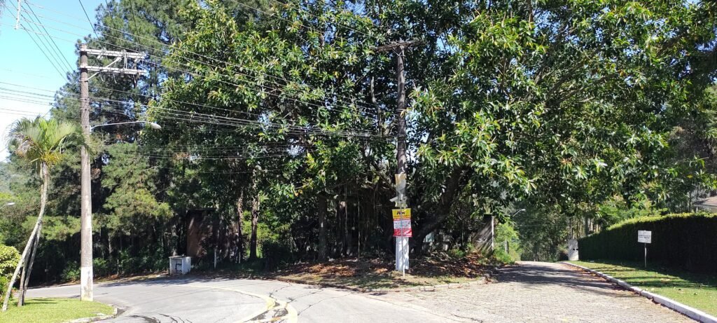 CLÍNICA DE REABILITAÇÃO PARA DEPENDENTES QUÍMICOS, CLÍNICA DE REABILITAÇÃO PARA DEPENDENTES QUÍMICOS FEMININO, CLÍNICA DE REABILITAÇÃO PARA USUÁRIO DE DROGAS MASCULINO, CLÍNICA PARTICULAR DE REABILITAÇÃO PARA DEPENDENTES QUÍMICOS, CLÍNICA DE REABILITAÇÃO PARA DEPENDENTES QUÍMICOS PERTO DE MIM, CLÍNICA DE REABILITAÇÃO PARA DEPENDENTES QUÍMICOS PARA HOMENS, CLÍNICA DE REABILITAÇÃO PARA DEPENDENTES QUÍMICOS PARTICULAR, CLÍNICA DE REABILITAÇÃO PARA DEPENDENTES QUÍMICOS PRÓXIMO DE MIM, CLÍNICA DE REABILITAÇÃO DE DEPENDENTES QUÍMICOS LIBERDADE E VIDA, CLÍNICA ESPECIALIZADA EM REABILITAÇÃO PARA DEPENDENTES QUÍMICOS, CLÍNICA DE REABILITAÇÃO PARA DEPENDENTES QUÍMICOS MAIRIPORÃ, CLÍNICA DE REABILITAÇÃO PARA DEPENDENTES SÃO PAULO, CLÍNICAS DE REABILITAÇÃO PARA DEPENDENTES QUÍMICOS, SOBRE CLÍNICAS DE REABILITAÇÃO PARA DEPENDENTES QUÍMICOS, CONTATO CLÍNICAS DE REABILITAÇÃO PARA DEPENDENTES QUÍMICOS, MAPA CLÍNICAS DE REABILITAÇÃO PARA DEPENDENTES QUÍMICOS