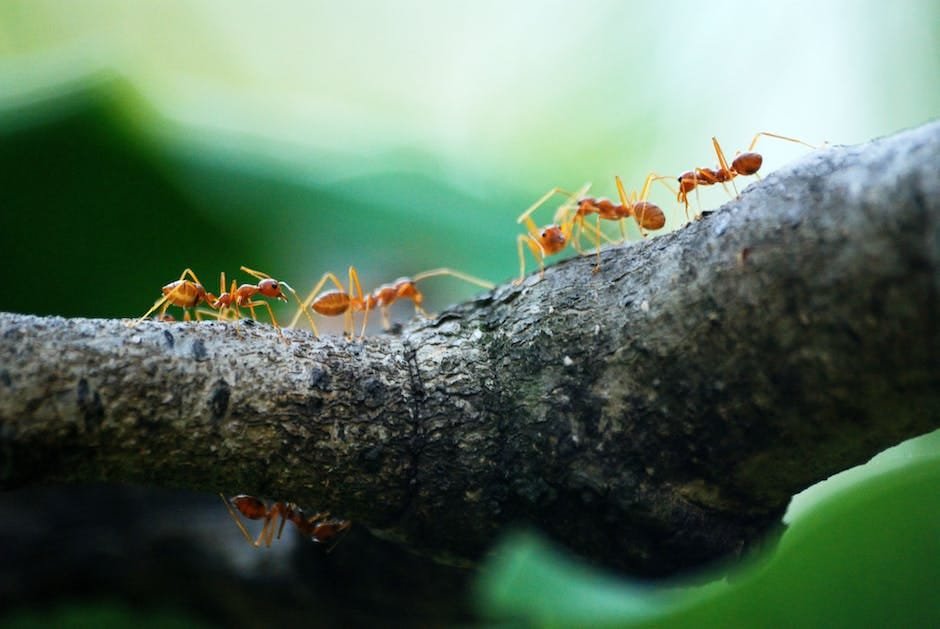 PROCURE O QUANTO ANTES AJUDA COM UMA casa de reabilitação Mairiporã Populina