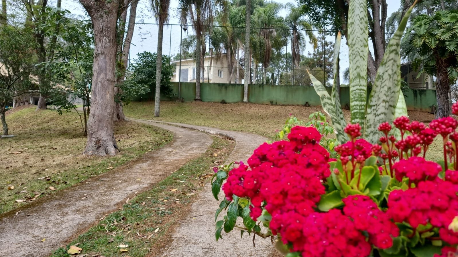 centro de recuperação química particular para homens