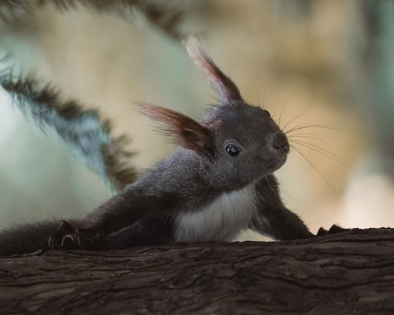 Caminhadas ao Ar Livre: Como o Contato com a Natureza Ajuda na Recuperação