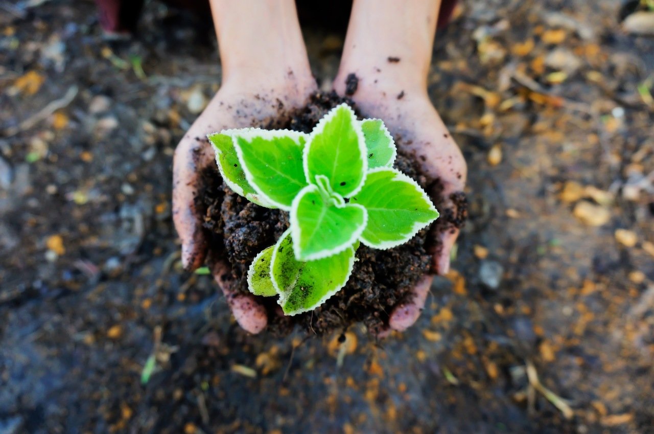centros de reabilitação
  involuntária Jaboticabal em SP
