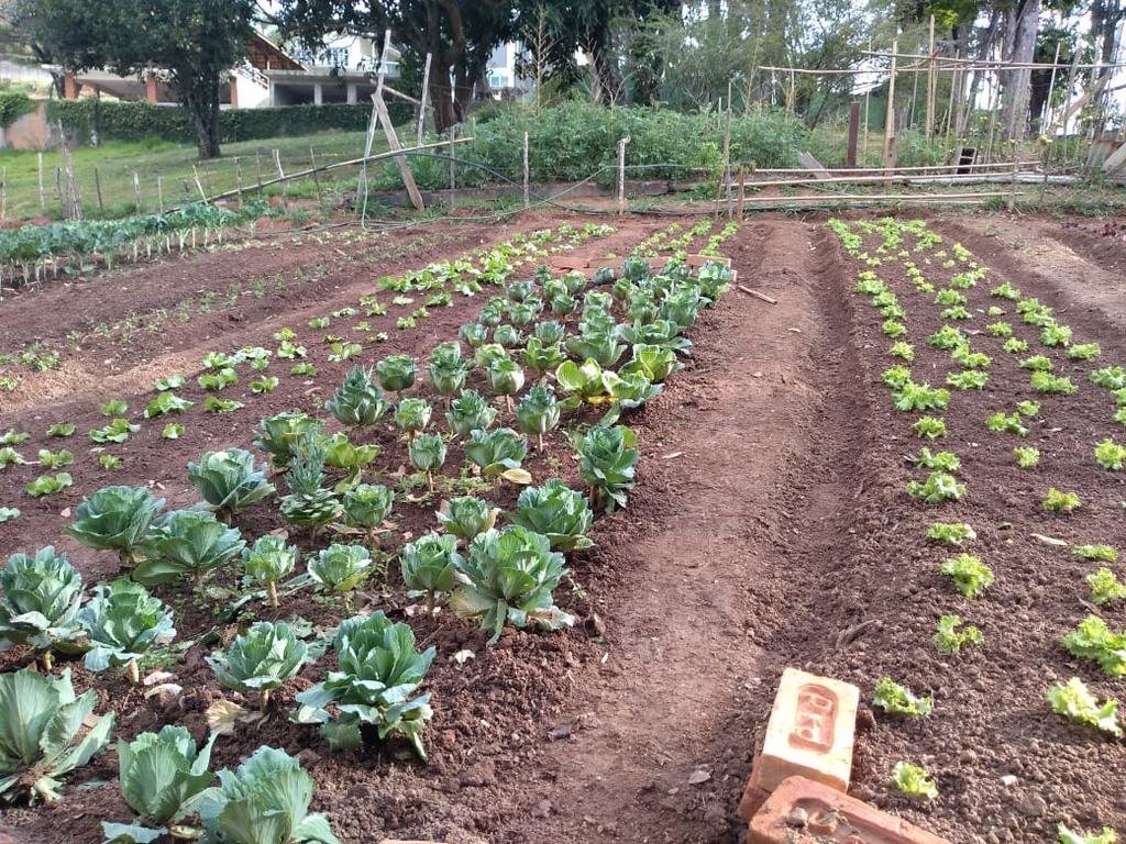 clínicas de reabilitação para
  drogados Contato Campo Mourão no PR
