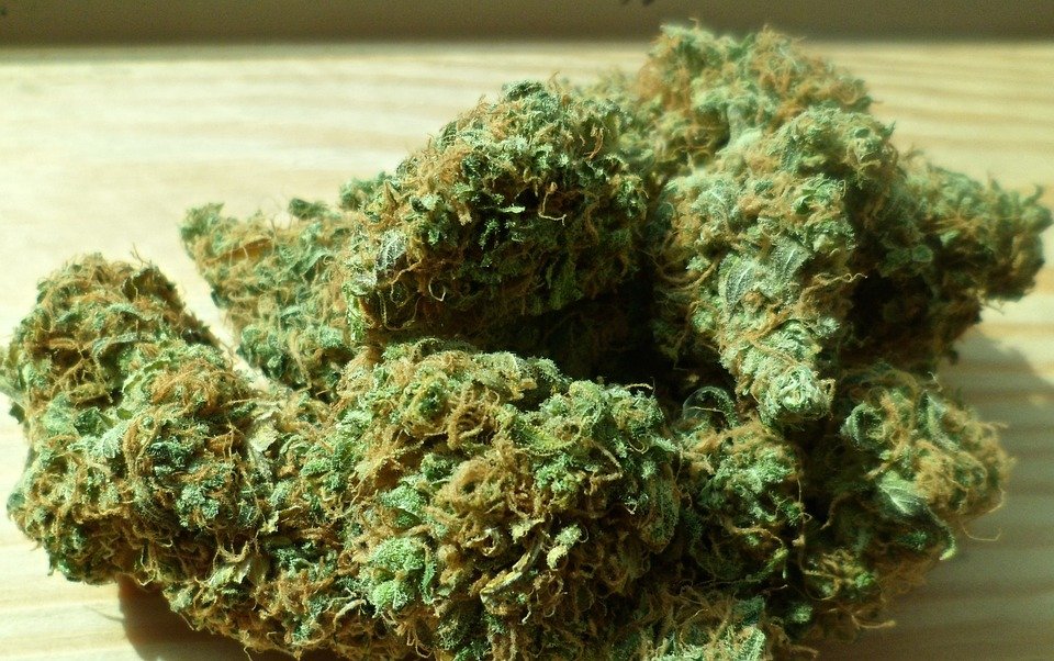 clínicas de reabilitação para
  drogados involuntário Almirante Tamandaré no PR